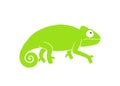 Green chameleon logo. Abstract chameleon on white background Royalty Free Stock Photo